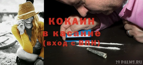 сатива Козловка