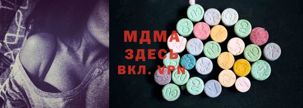 сатива Козловка