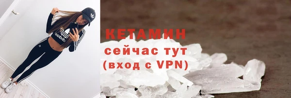 сатива Козловка