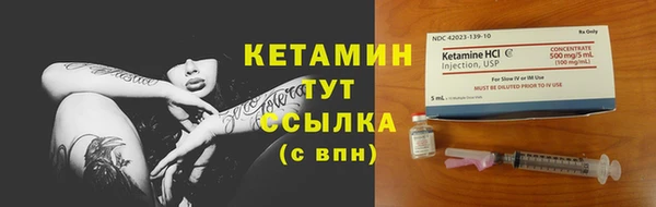 сатива Козловка