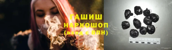 сатива Козловка