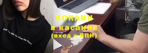 сатива Козловка