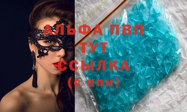 сатива Козловка