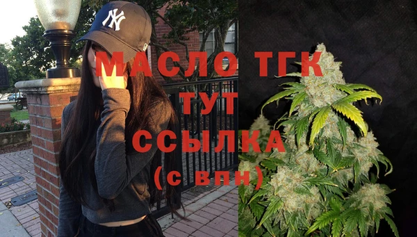 сатива Козловка