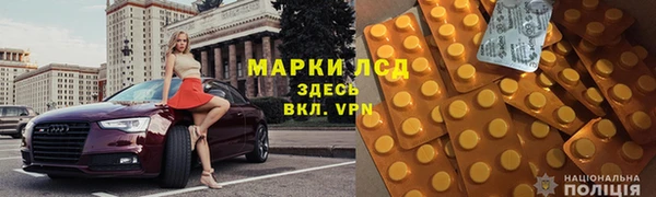 сатива Козловка